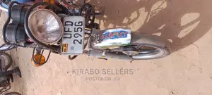 New Bajaj Avenger 200 2023 Purple