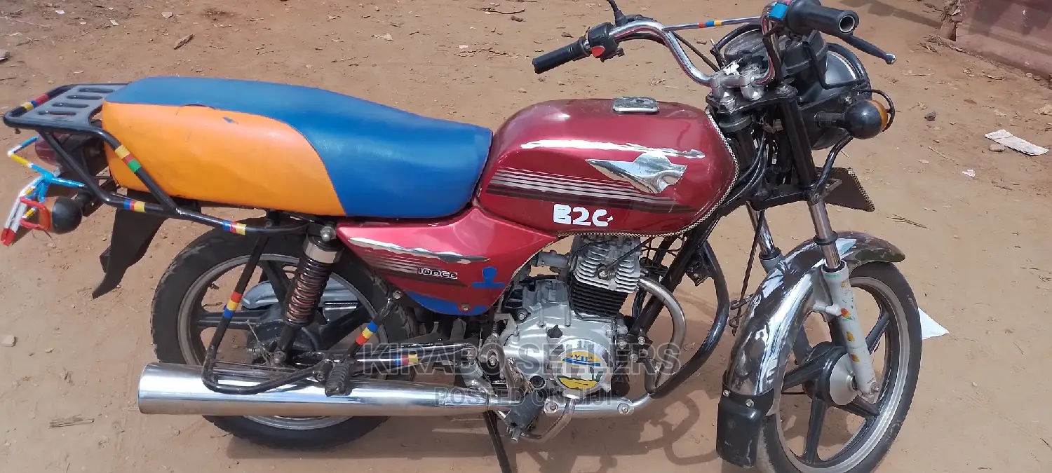 New Bajaj Avenger 200 2023 Purple
