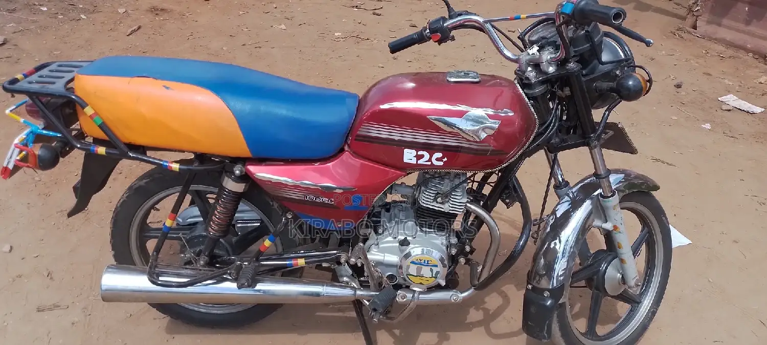 New Bajaj Avenger 200 2023 Purple