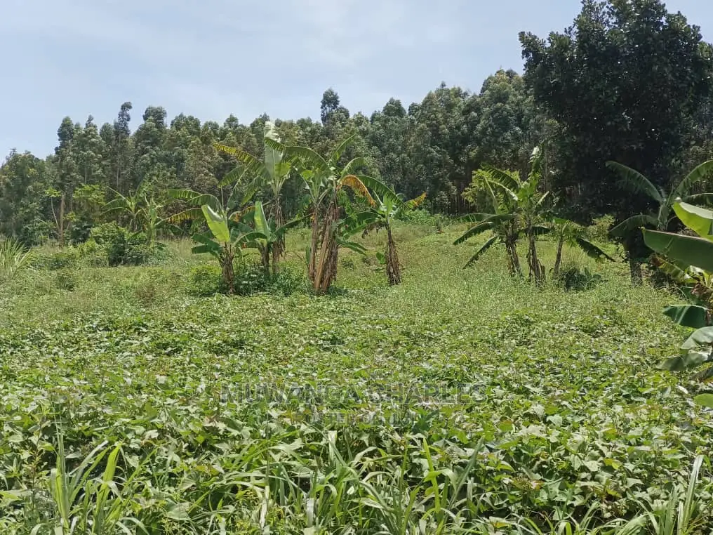 3acres of Land in Zirobwe on Quick Sale