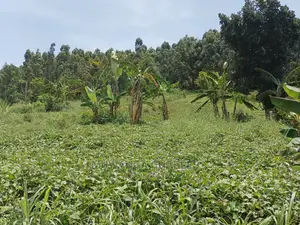 3acres of Land in Zirobwe on Quick Sale