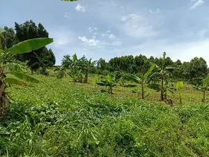 3acres of Land in Zirobwe on Quick Sale