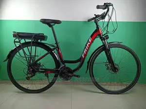 Photo - FRIKE Electric Electric Bicycle