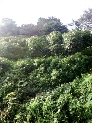 10acres of Land in Wabutungulu on Quick Sale