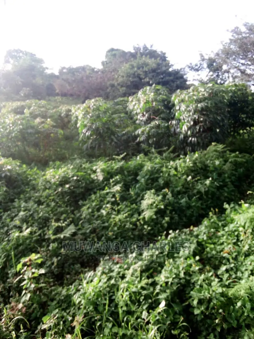 10acres of Land in Wabutungulu on Quick Sale
