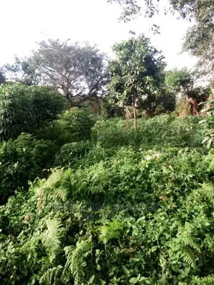 10acres of Land in Wabutungulu on Quick Sale