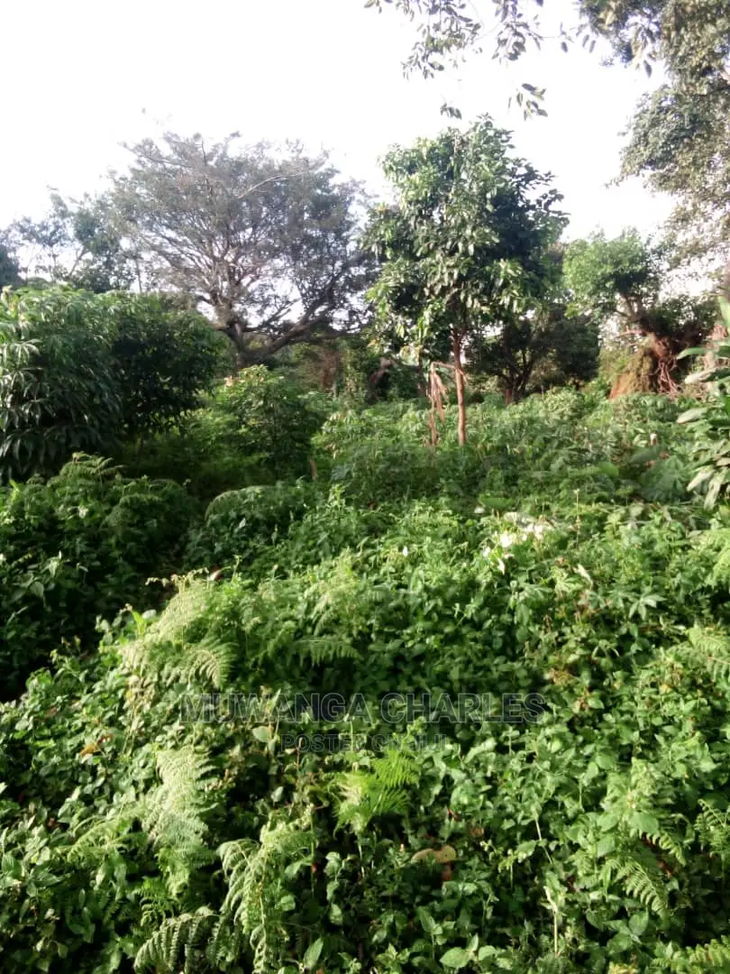 10acres of Land in Wabutungulu on Quick Sale