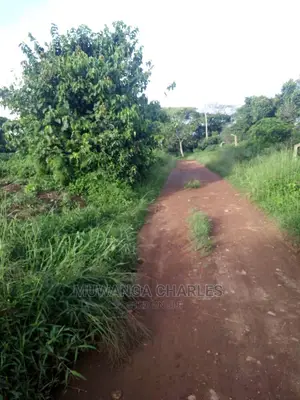 10acres of Land in Wabutungulu on Quick Sale