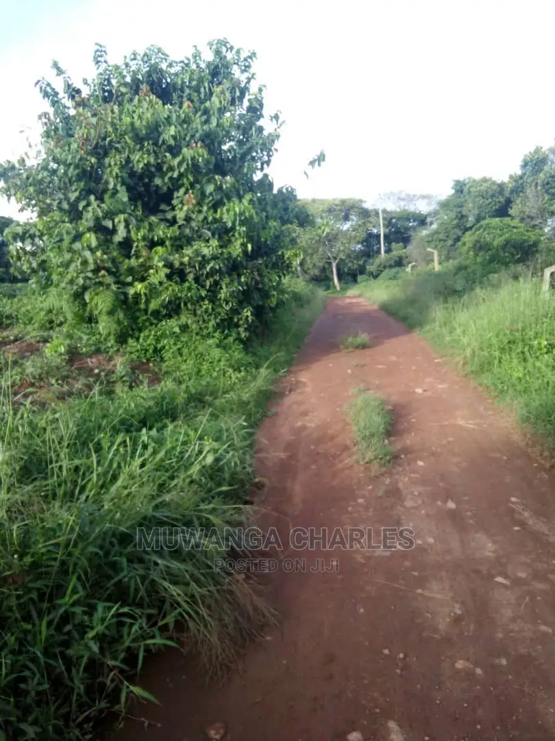 10acres of Land in Wabutungulu on Quick Sale