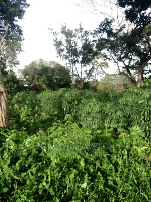 10acres of Land in Wabutungulu on Quick Sale