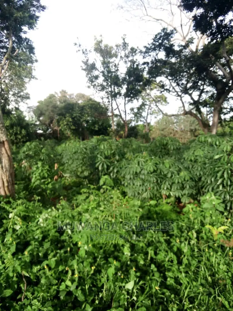 10acres of Land in Wabutungulu on Quick Sale
