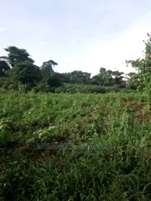 10acres of Land in Wabutungulu on Quick Sale