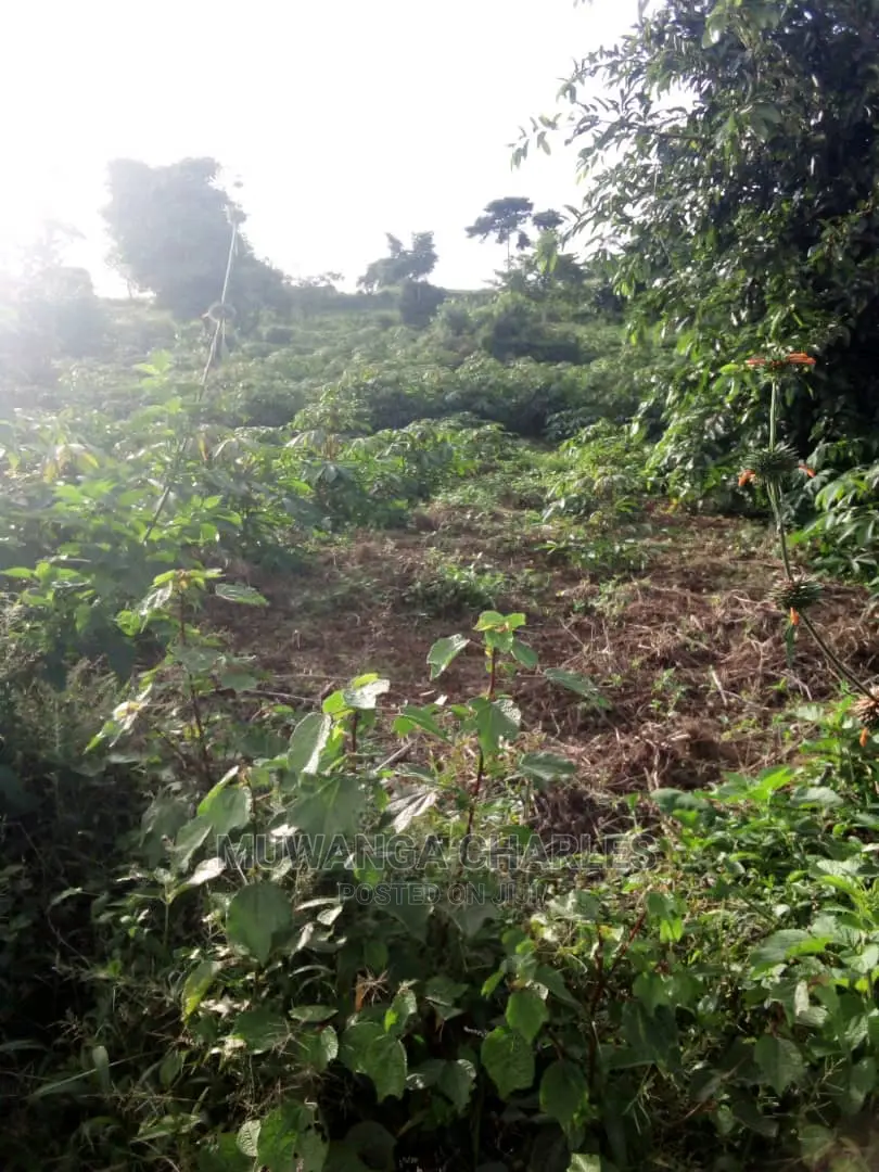 10acres of Land in Wabutungulu on Quick Sale