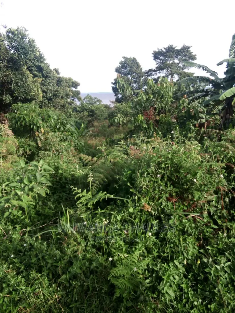 10acres of Land in Wabutungulu on Quick Sale