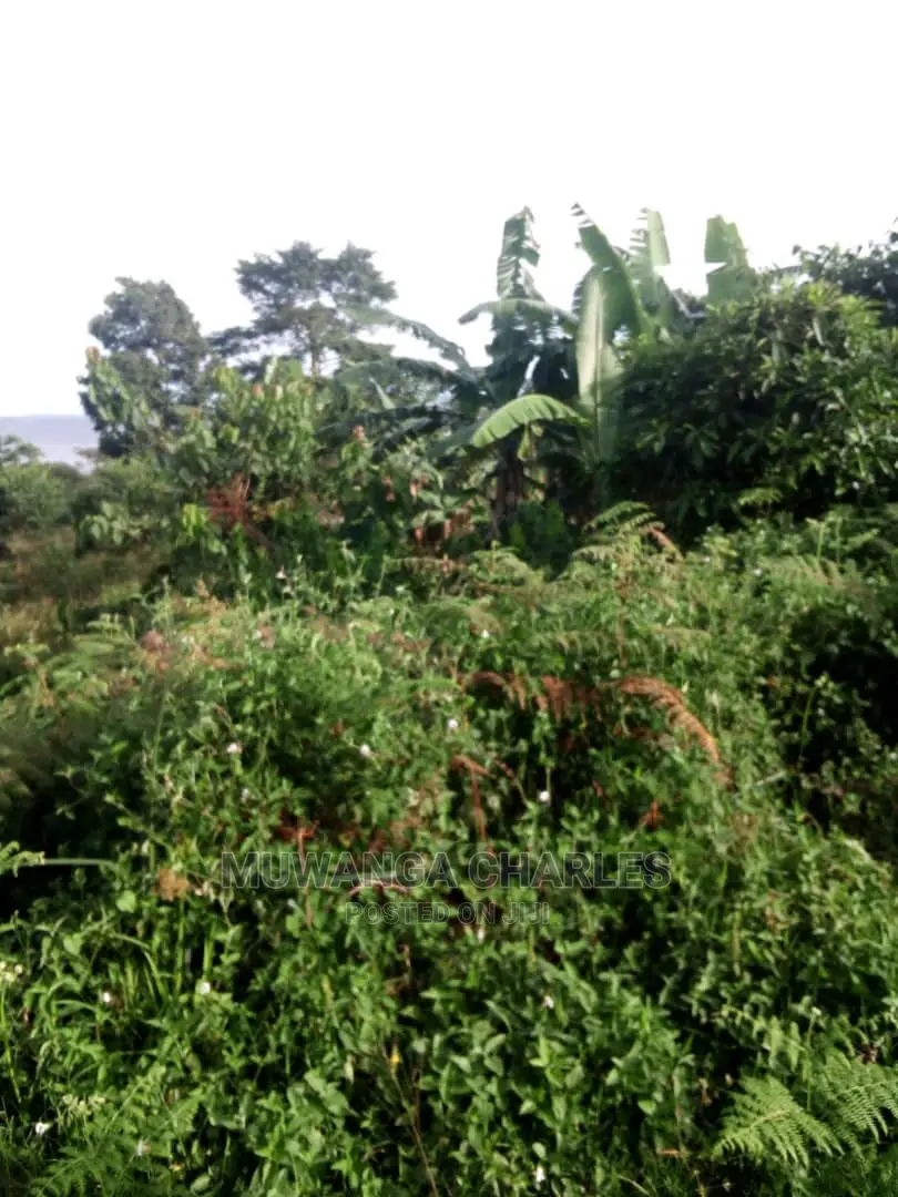 10acres of Land in Wabutungulu on Quick Sale