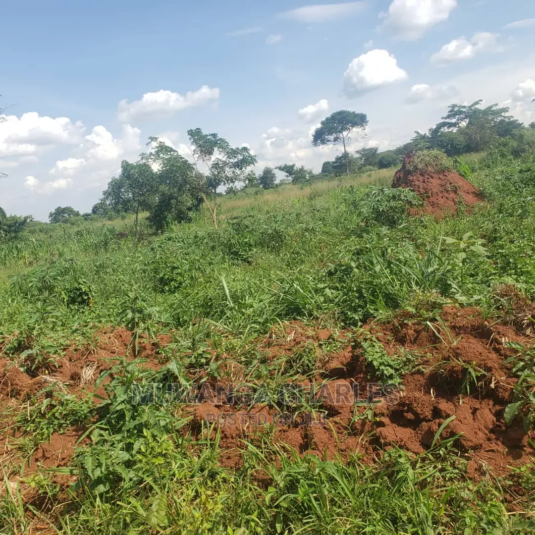 2acres of Land in Busika on Quick Sale