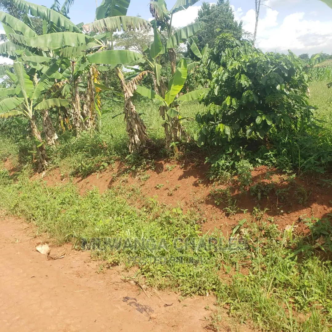 2acres of Land in Busika on Quick Sale