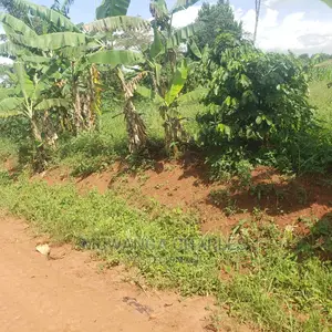 2acres of Land in Busika on Quick Sale