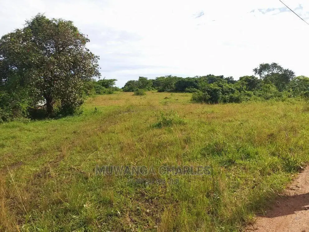 2acres of Land in Busika on Quick Sale