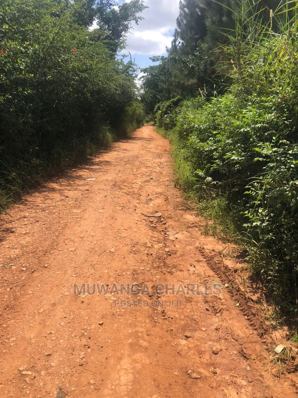 4acres of Land in Zirobwe on Quick Sale