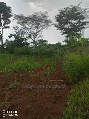 5acres in Zirobwe Namawoja on Sale