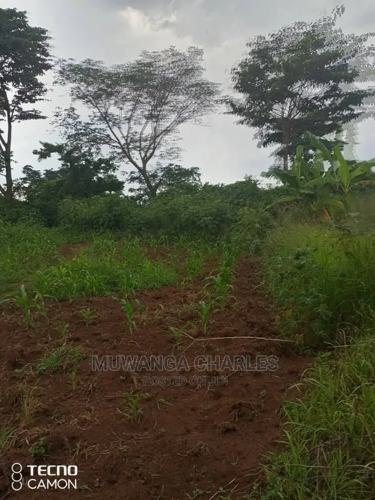 5acres in Zirobwe Namawoja on Sale