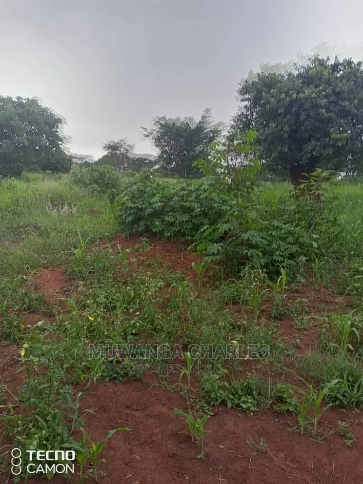 5acres in Zirobwe Namawoja on Sale
