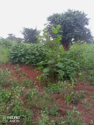 5acres in Zirobwe Namawoja on Sale