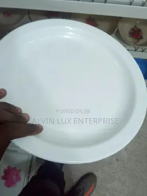 Strong Melamine Plate