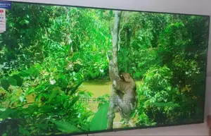 LG 65" Smart