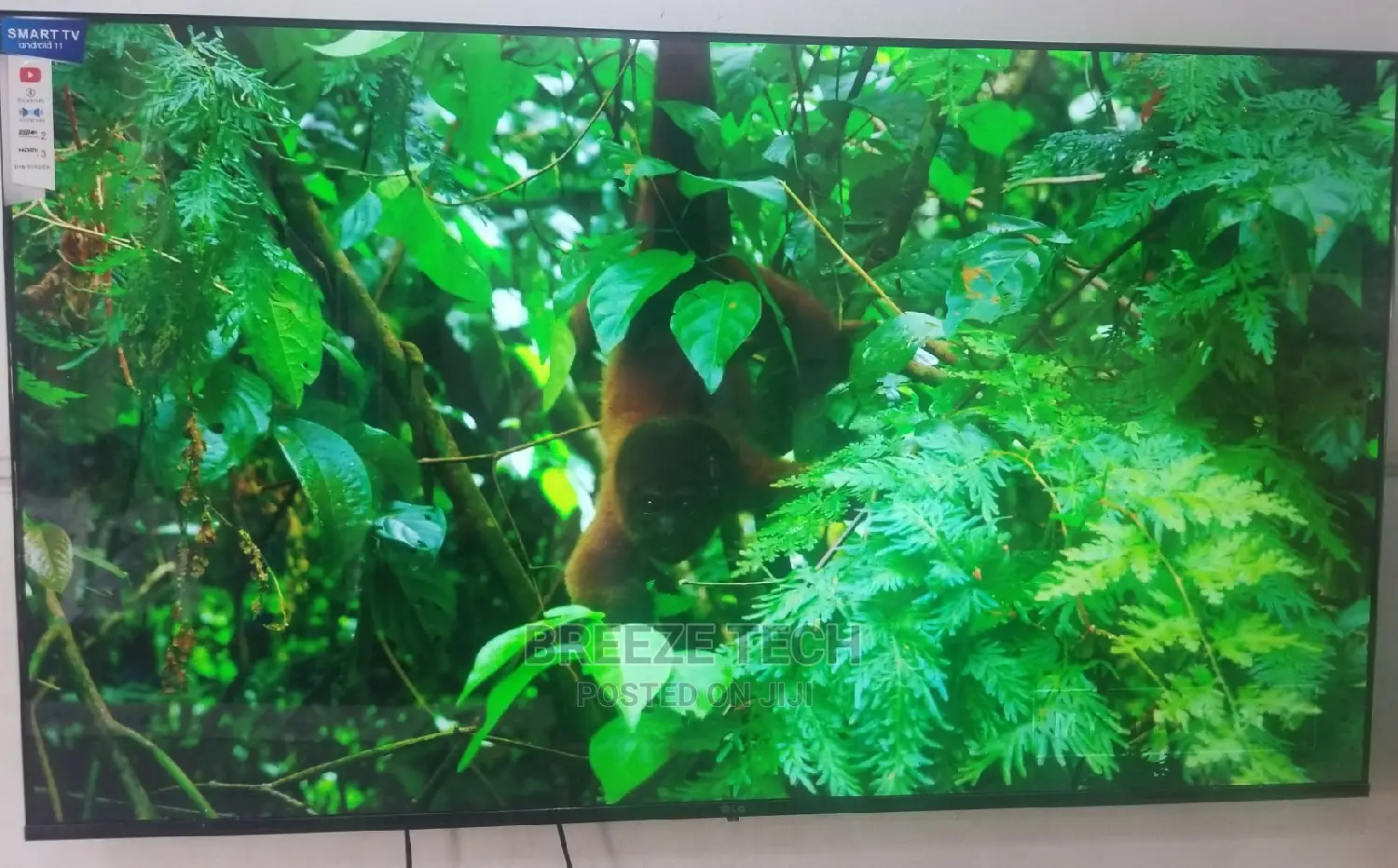 LED LG 65" Smart