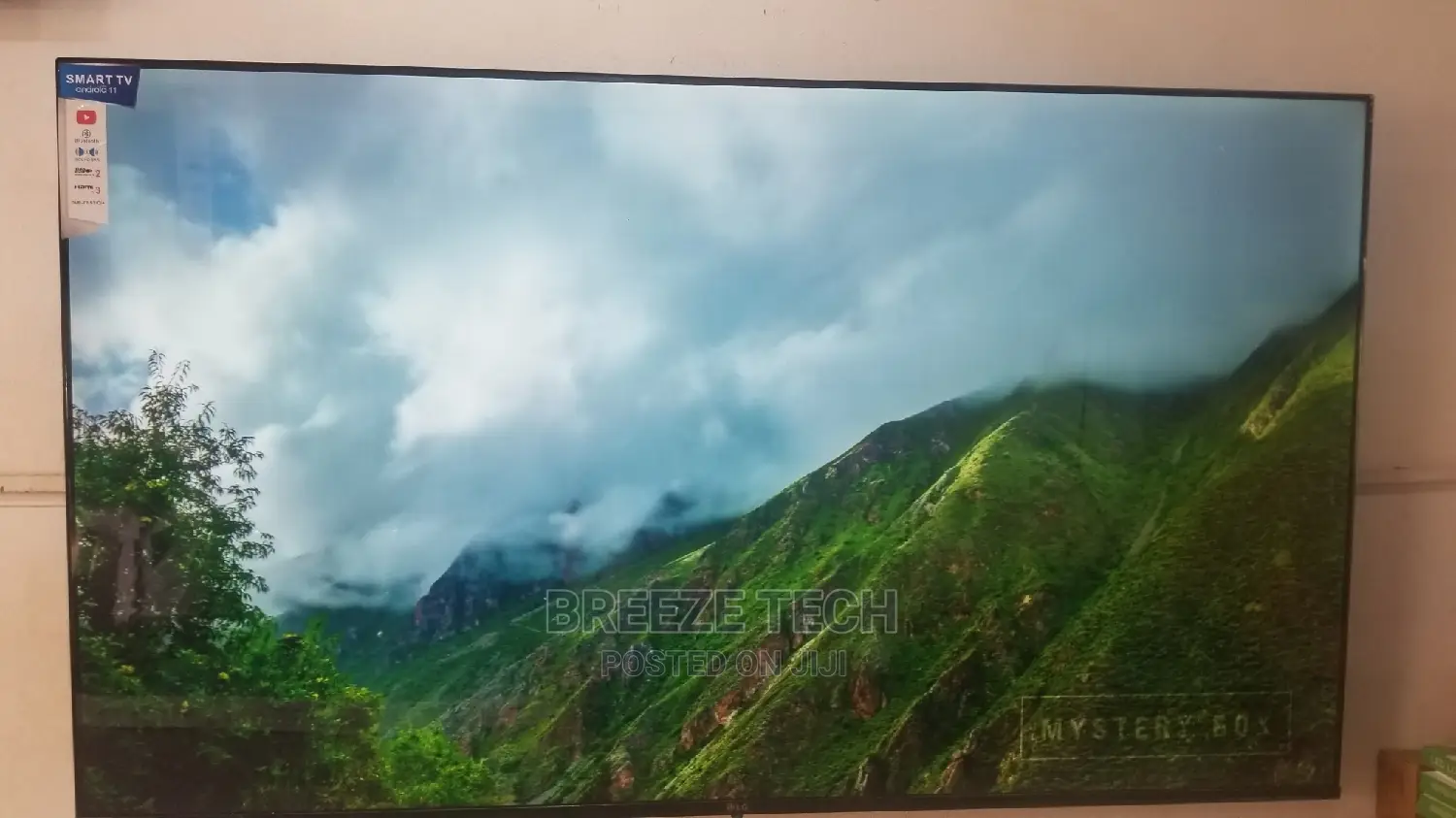 LED 65" TV LG Flat Screen
