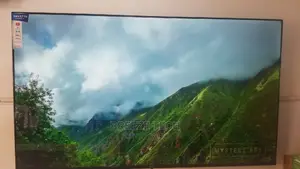 LED 65" TV LG Flat Screen