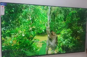 LED 65" TV LG Flat Screen