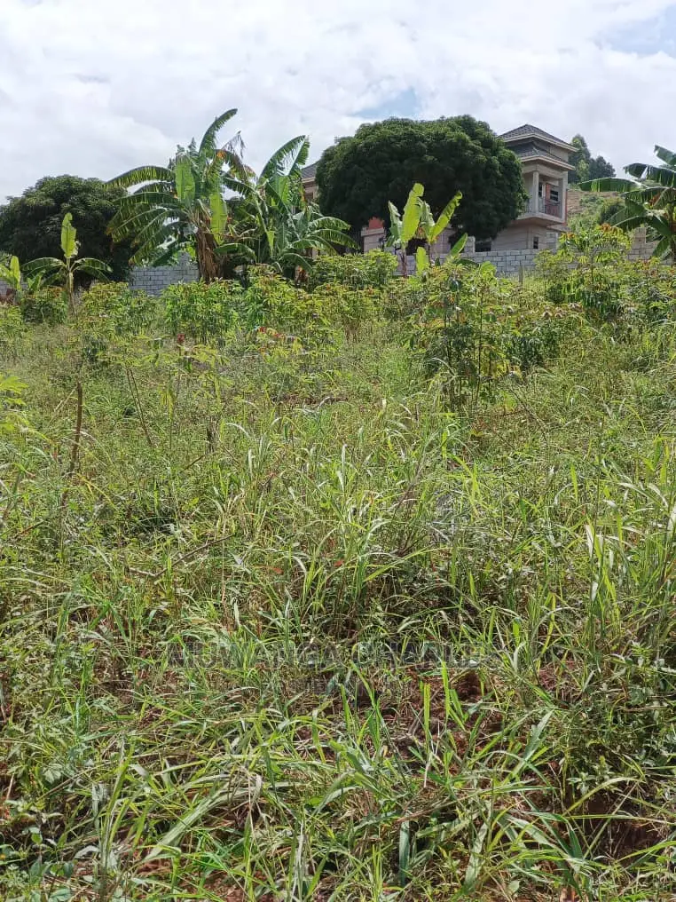 Plots in Entebbe Road on Quick Sale