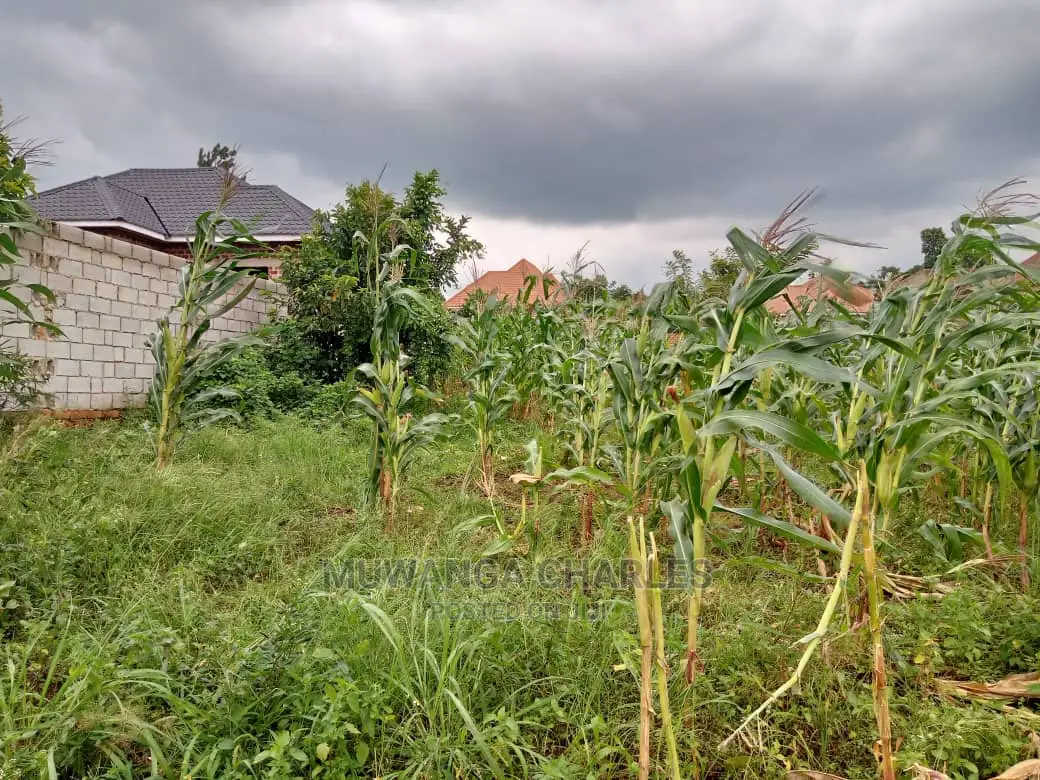 Plot in Kyanja on Sale