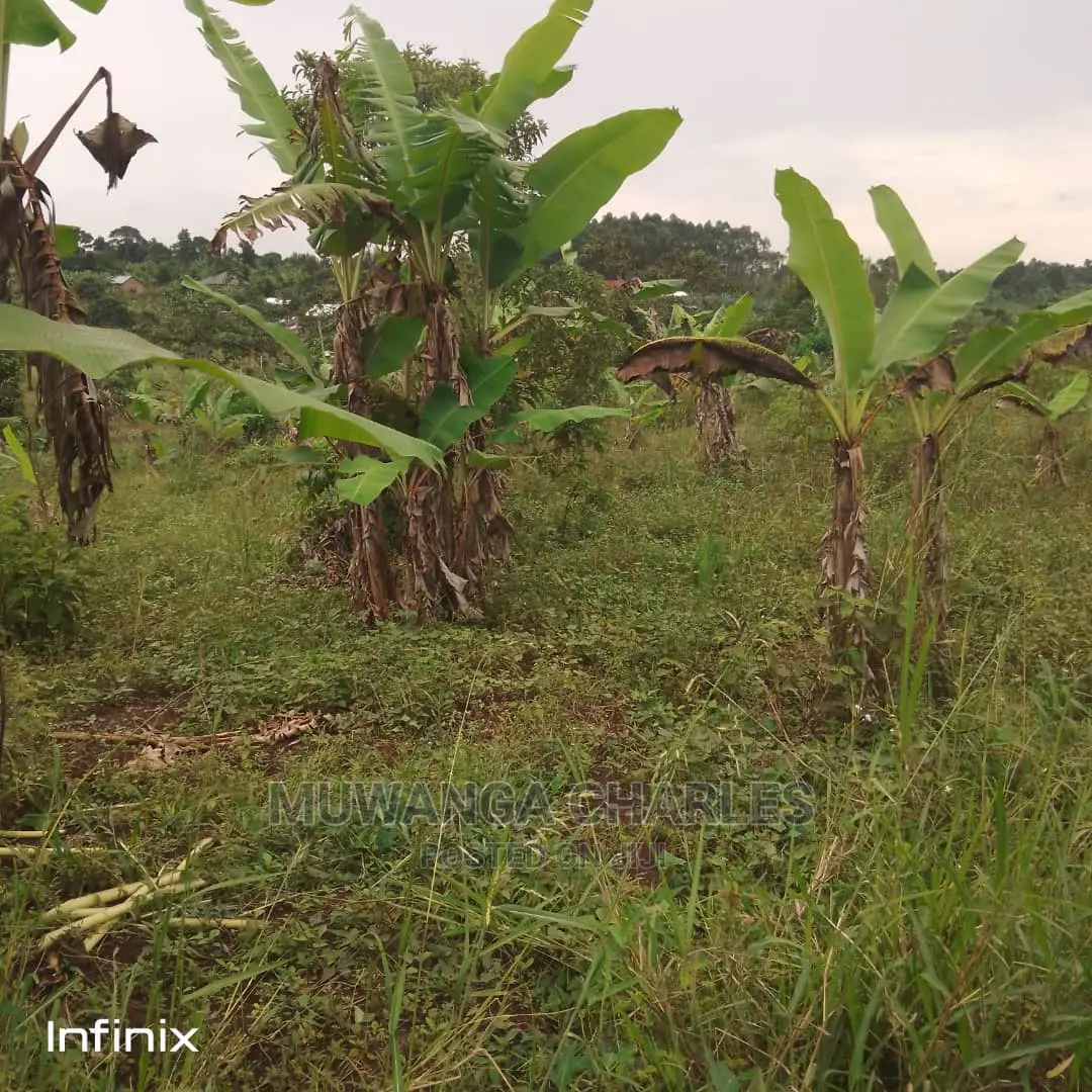 Plot's in Gayaza on Quick Sale