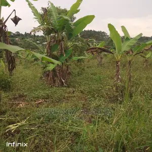 Plot's in Gayaza on Quick Sale