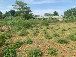 Plot's in Gayaza on Quick Sale