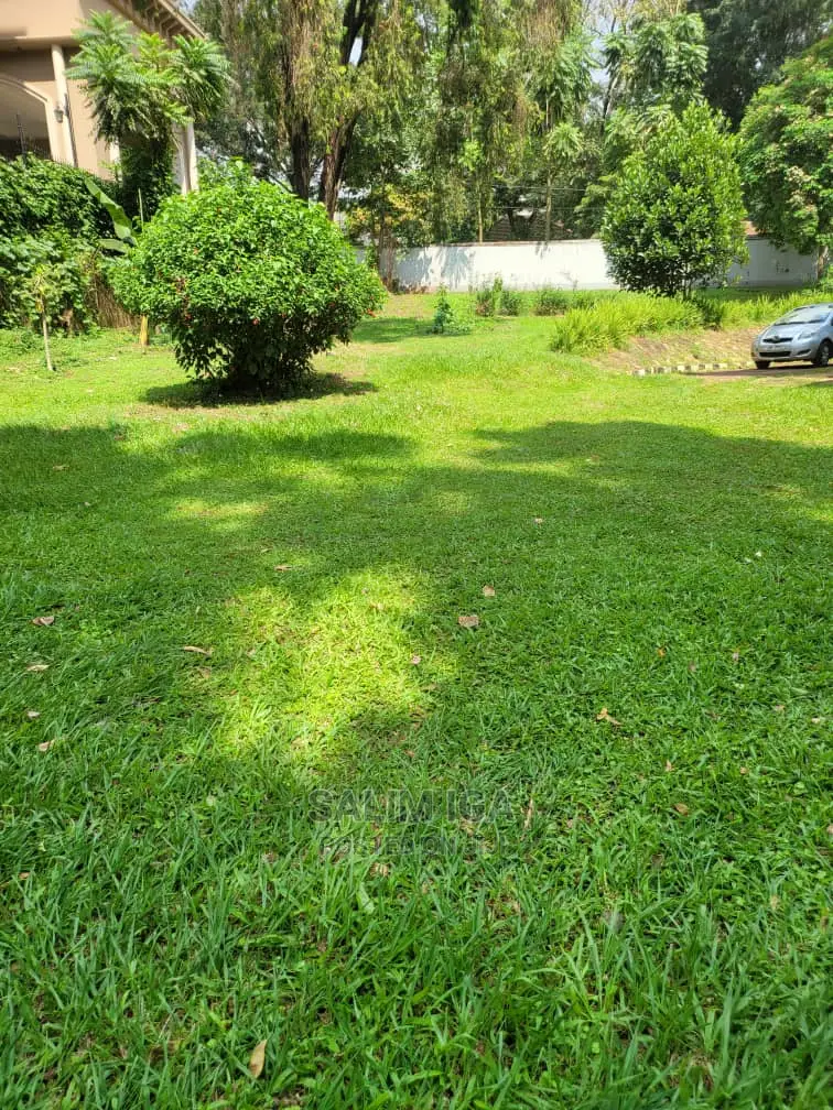 4bdrm Duplex in Kololo Property, Central Division for rent