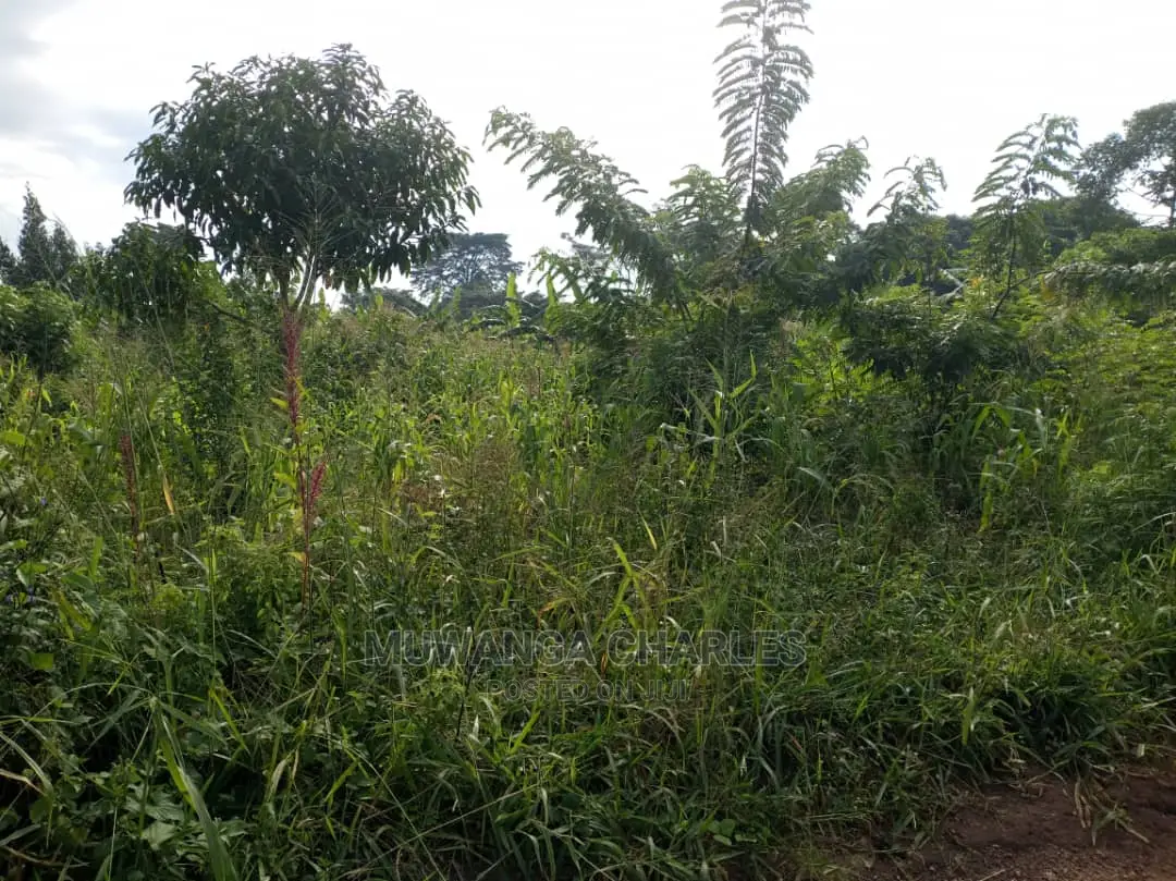 Plot's in Buwate on Quick Sale
