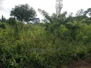 Plot's in Buwate on Quick Sale