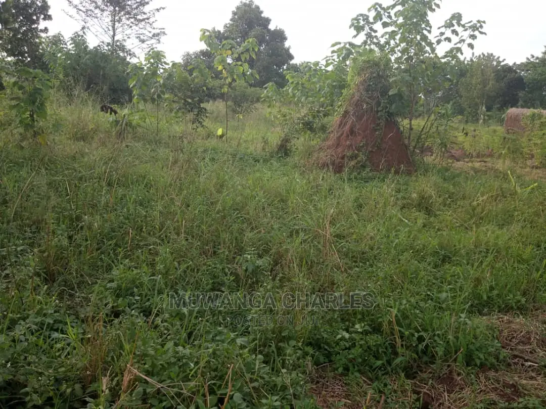 Plot's in Buwate on Quick Sale