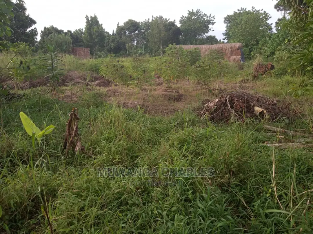 Plot's in Buwate on Quick Sale