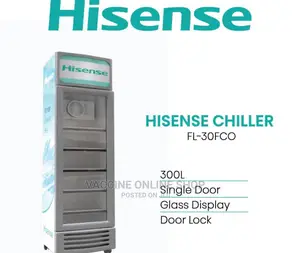Hisense Display Chiller 300L /
