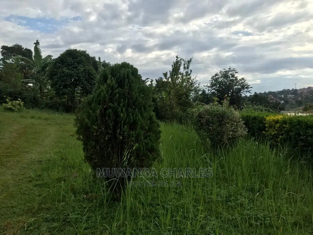 Plots in Kira Kitukutwe on Sale