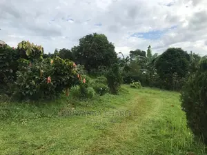 Plots in Kira Kitukutwe on Sale