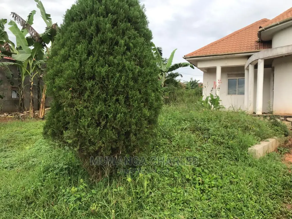 Plot in Kyanja on Quick Sale