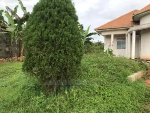 Plot in Kyanja on Quick Sale