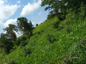 2 Sqaure Miles in Kassanda at 8m Per Acre